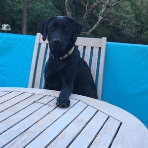 Meet your Posher, Jesus g